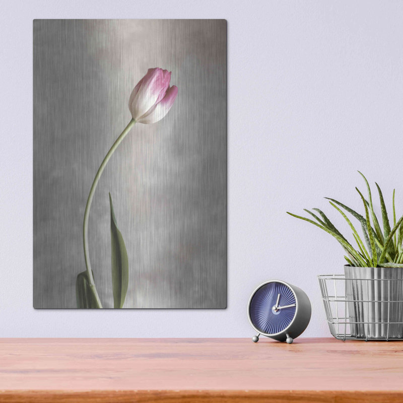 Fresh Tulips I de Debra Van Swearingen, H 16 po x l 12 po