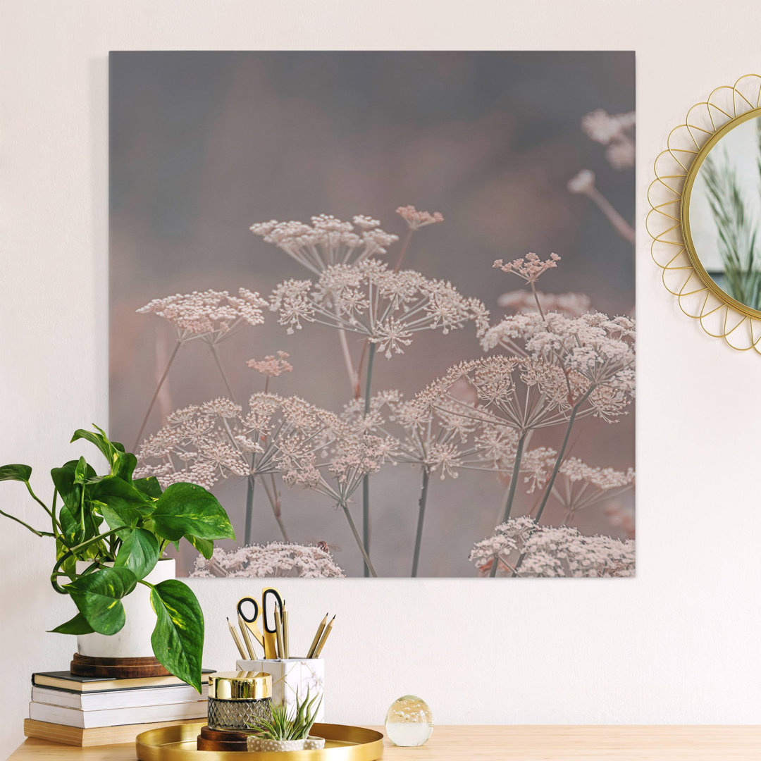 Leinwandbild Wild Umbels