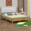 Grand lit en bois d'hévéa avec tête de lit rembourrée en velours Teddy-116499666
