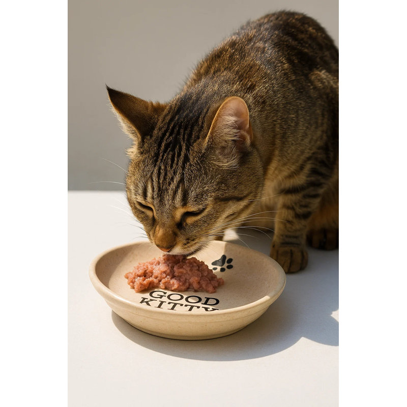 Good Kitty Paw Prints, soucoupe pour animal de compagnie, 0,75 tasse (MERGE), ensemble de 2