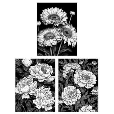 Elegant Spring Flowers Daisies Peonies Marigolds Black White 3 Piece Wall Art