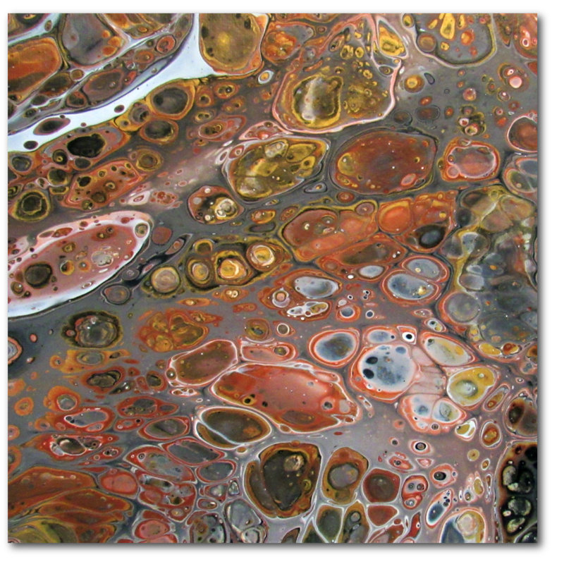 Gold Rush - Wrapped Canvas Graphic Art,  30" H x 30" W  x 1.5" D