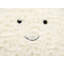 STARFRUIT Novelty Cushion