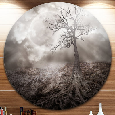 " Lonely Tree Holding The Moon "