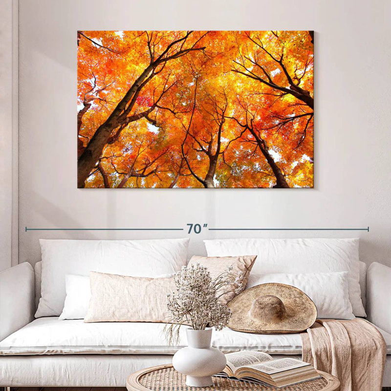 Alvord Maple Tree Autumn Canopy