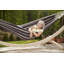 Barbados Double Hammock-36120858