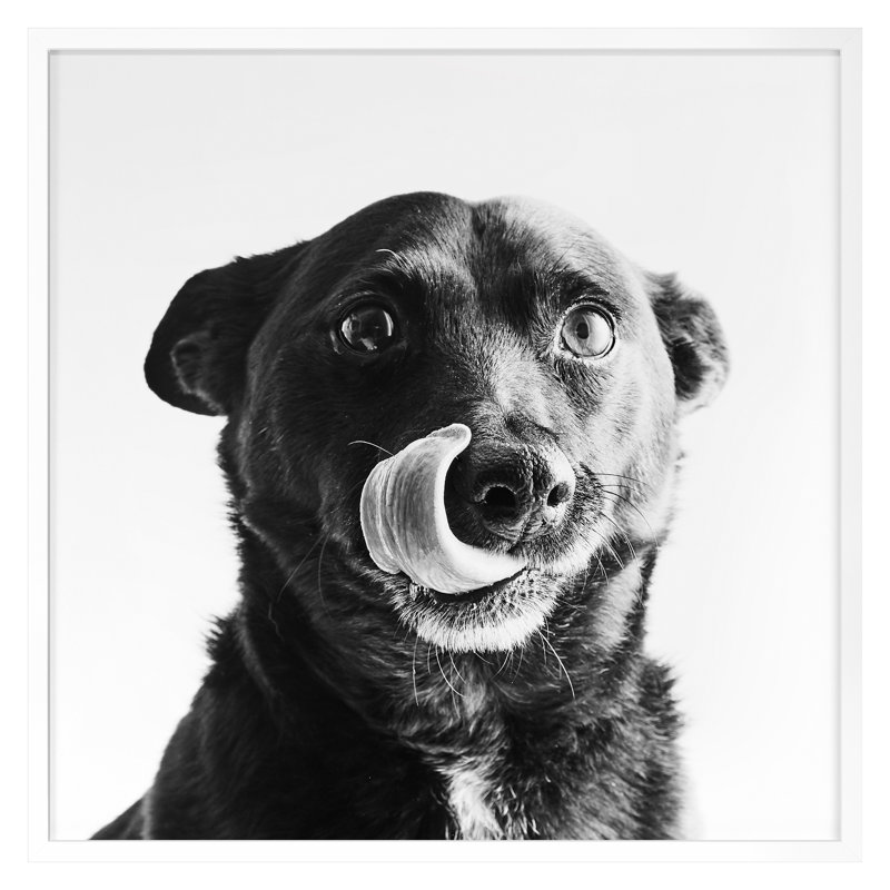 Anticipation 1 Print by Pearson, Victoria, 30" H x 30" W, White