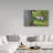 Modern & Contemporary-31329834