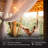 Ambience 48" Outdoor 15 - Bulb Standard String Light (End to End Connectable)