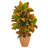 40'' Faux Foliage Plant in Terracotta Planter
