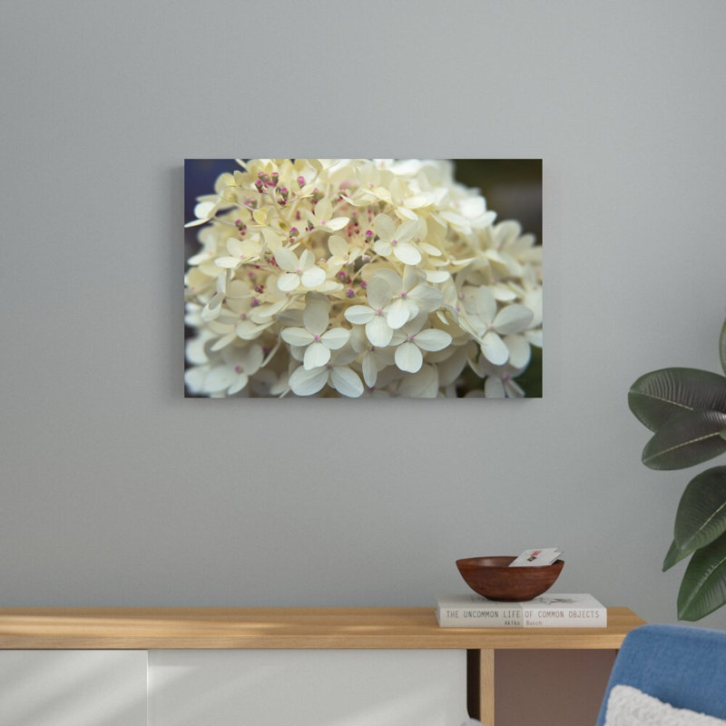 «Hydrangea Delight I» par Felicity Bradley, reproduction de photo sur toile tendue, H 20 po x l 30 po