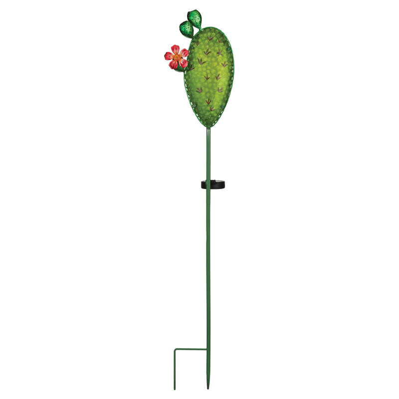 Piquet solaire Eastern Prickly Pear