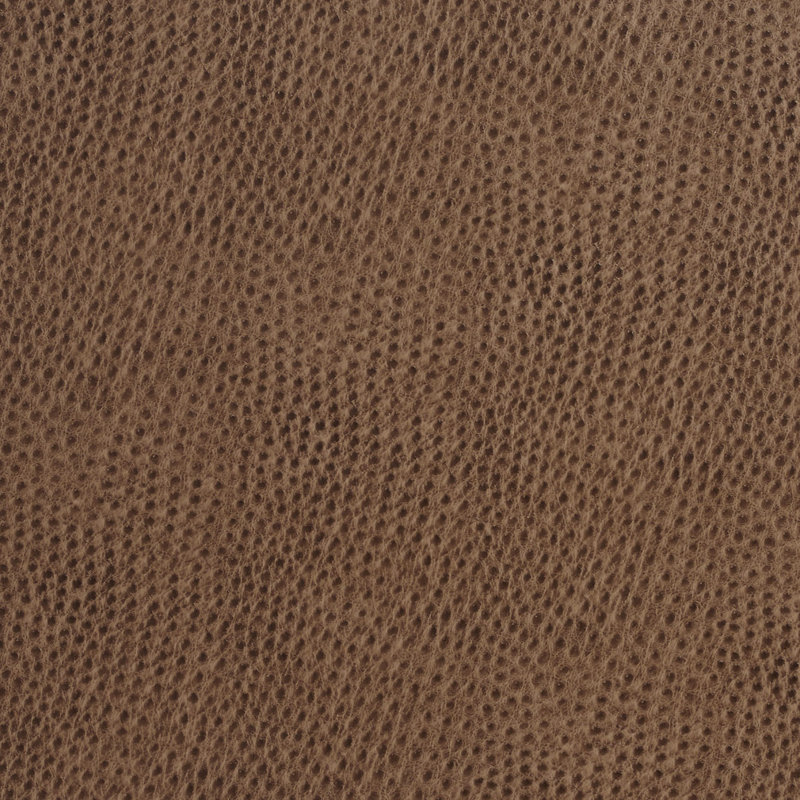 Emu lisse, Taupe clair