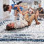 Tapis de couloir bleu / ivoire-2142357063