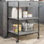 Dwyce Metal Bar Cart-1602415009