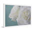 Judy Stalus - Single Picture Frame Print-20708732