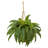 33'' Faux Fern Plant in Wicker Basket