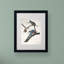 Passager Pigeon par John James Audubon - reproduction d'art sur toile-371118091-394405704