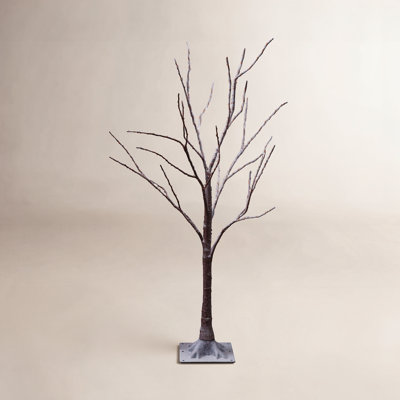 Lighted Trees & Branches
