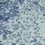 Tapis Hazley-97830578