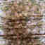 Photos des clients 3 de 9