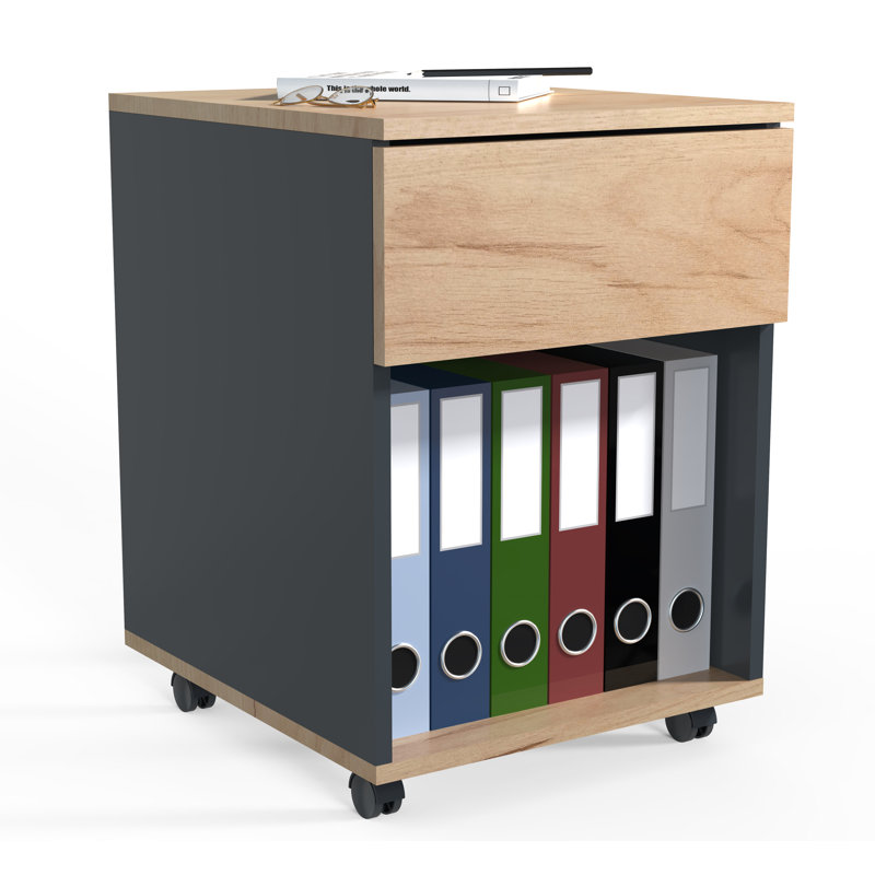 Remedios 39cm Wide File Cabinet, Black/Brown, 45cm H x 39cm W x 55cm D