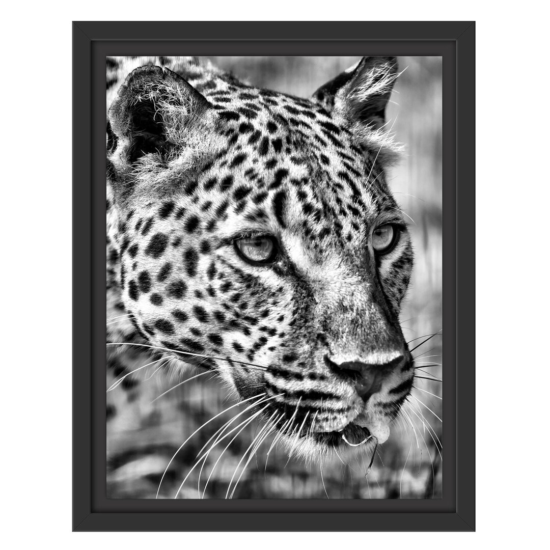 Gerahmtes Wandbild schleichender Leopard