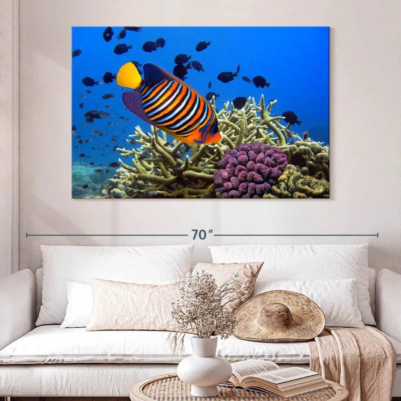 Brampt Royal Angelfish, 34" H x 51" W
