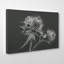 Thistle - Wrapped Canvas-19096599