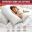 Luxury V Shape Pillow with Microfibre Filling, Breathable Hypoallergenic Cushion for Head, Neck & Back Support
