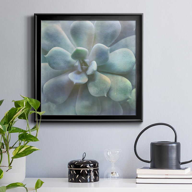 Soft Succulent II - peinture sur toile encadrée, H 34,5 po x l 34,5 po x P 1,5 po, Cadre noir