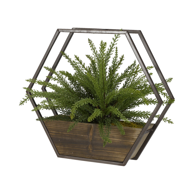 Plante à heather