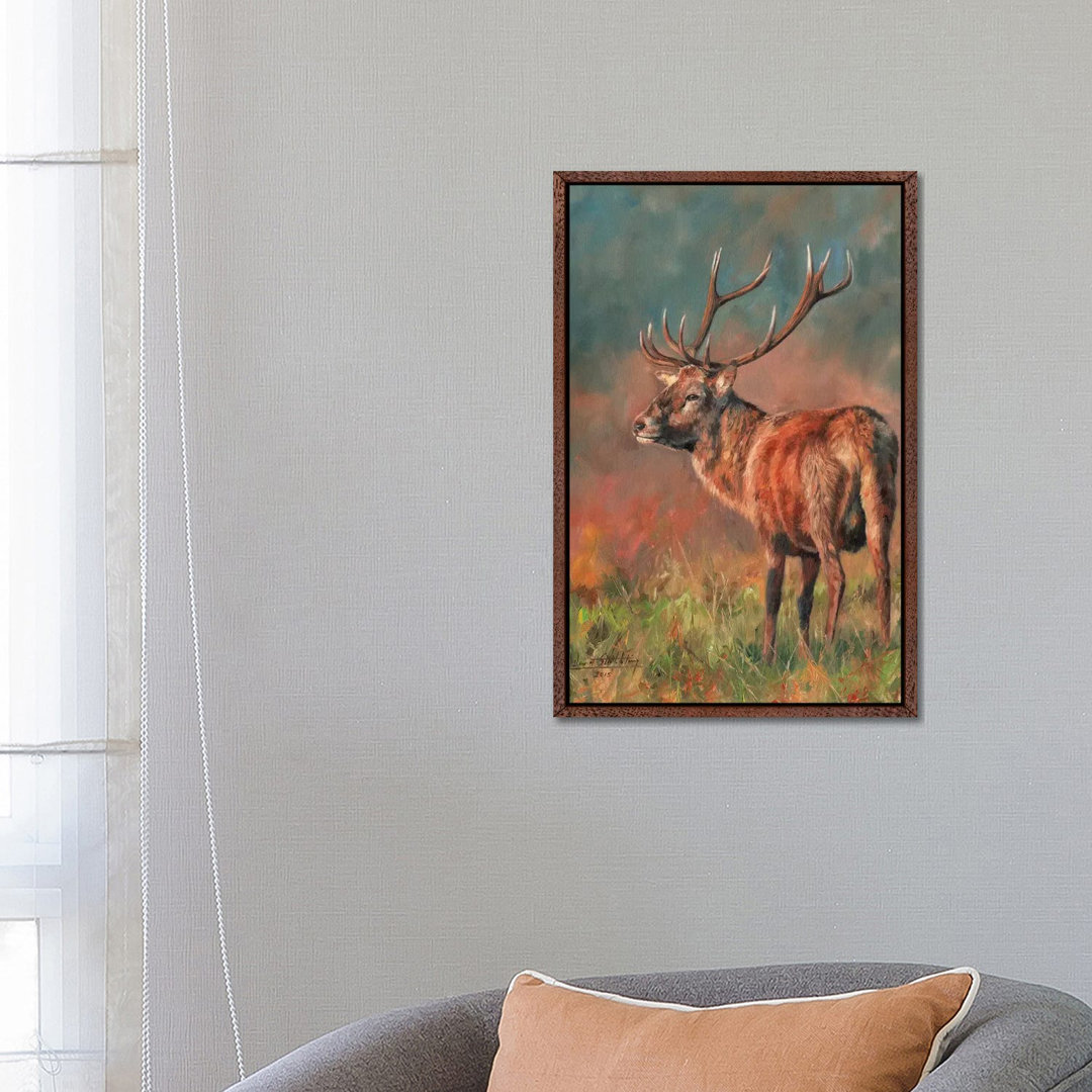 Red Deer Stag Evening Light von David Stribbling - Gallery-Wrapped Canvas Giclée on Canvas