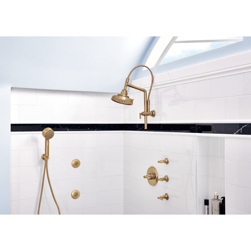 Levoir® HydraChoice® TouchClean® Spray Head