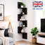 Caulin 5 Piece Accent Shelf