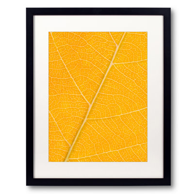 Autumn Leaf Print by Philippe Monthoux