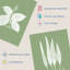 Sage Green Tree Plant Detailed Foliage Xray Imprint Monochrome Botanical - 3 Piece No Frame Print Set-88622436