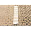 Tapis kaki en laine nouvel âge rectangulaire 6 pi 1 po x 8 pi 10 po Tildy