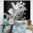 Toile tendue
