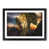 Black Framed selected