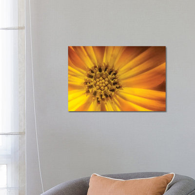 Sunflower by Glauco Meneghelli - Wrapped Canvas Print