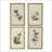 S/4 Bird Framed Print