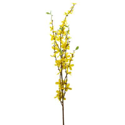 Forsythia Arrangement