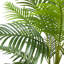 Palmier artificiel-1592923291