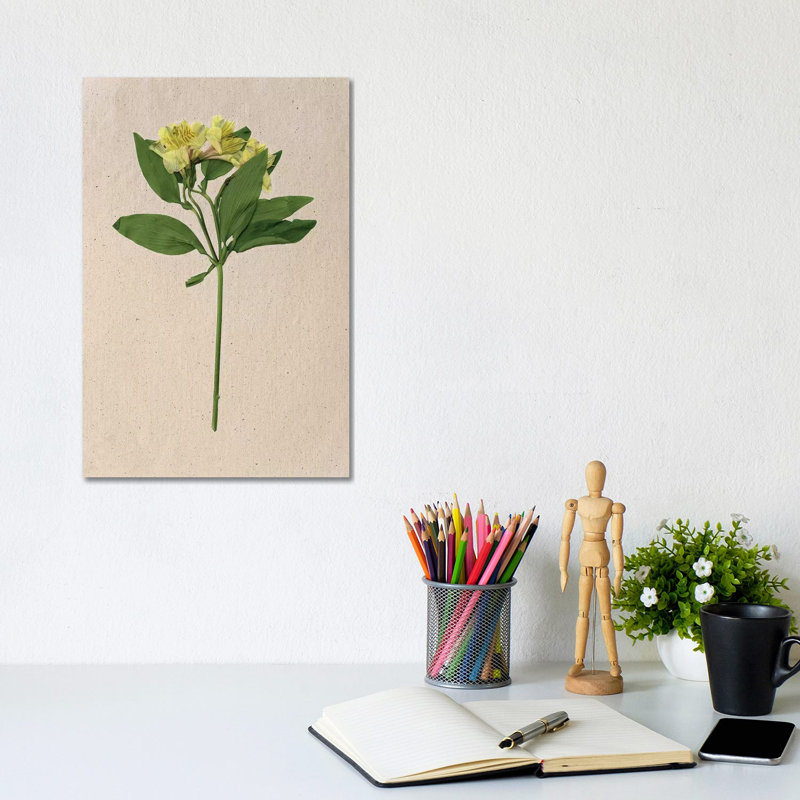 Pretty Pressed Flowers II 1 Piece Wrapped Canvas Wall Art, 30.48cm H x 20.32cm W
