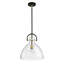 Luminaire suspendu simple à 1 lumière Jadis