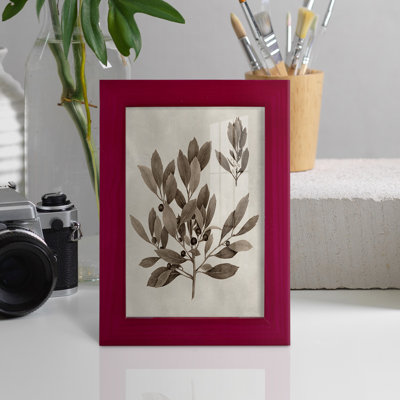 Arbor Speciment IV - Impression encadrée avec verre - rouge cerise