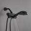 Pomme de douche à main à pluie 2.0 GPM GPM avec filtration d'eau-93219931