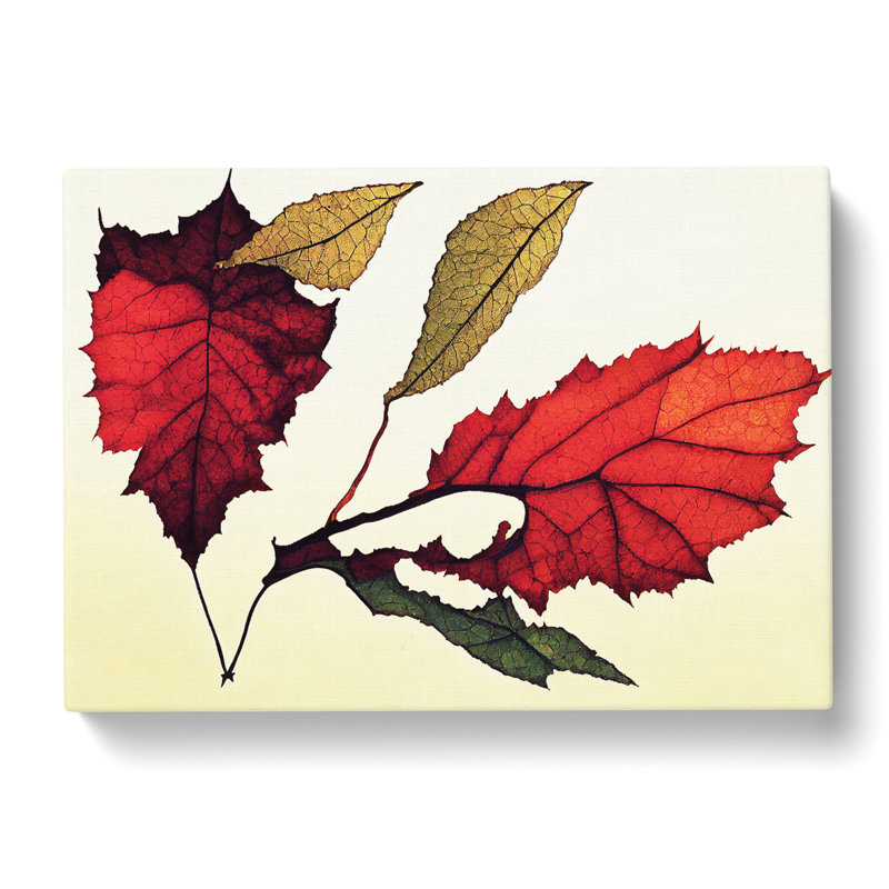 Enlightening Autumn Leaf - Wrapped Canvas, 35cm H x 50cm W x 3cm D