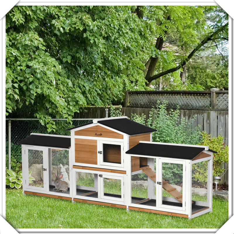 Cage à lapin en bois avec rampe à double face sans fuite, Blanc
